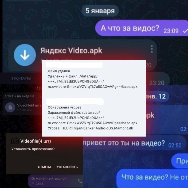  Telegram    Mamont